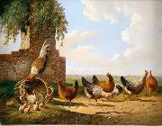 unknow artist Cocks 059 France oil painting artist